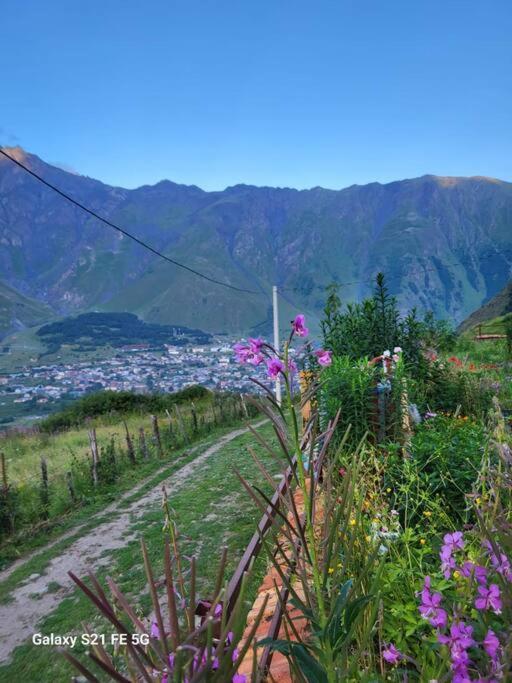 卡兹贝吉Peak House别墅 外观 照片